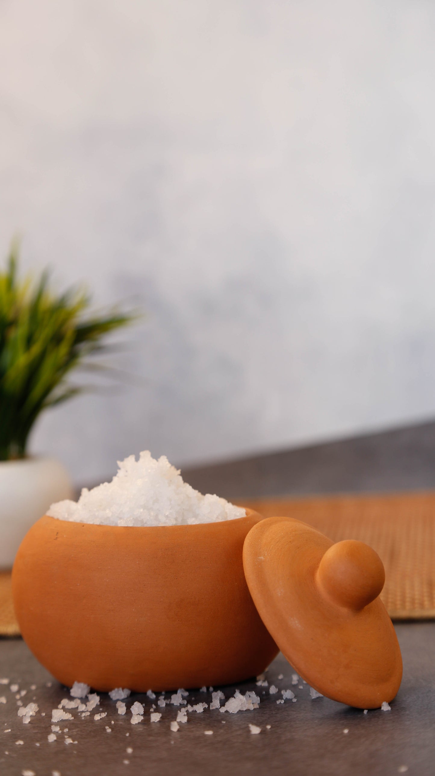 Curd or Salt pot
