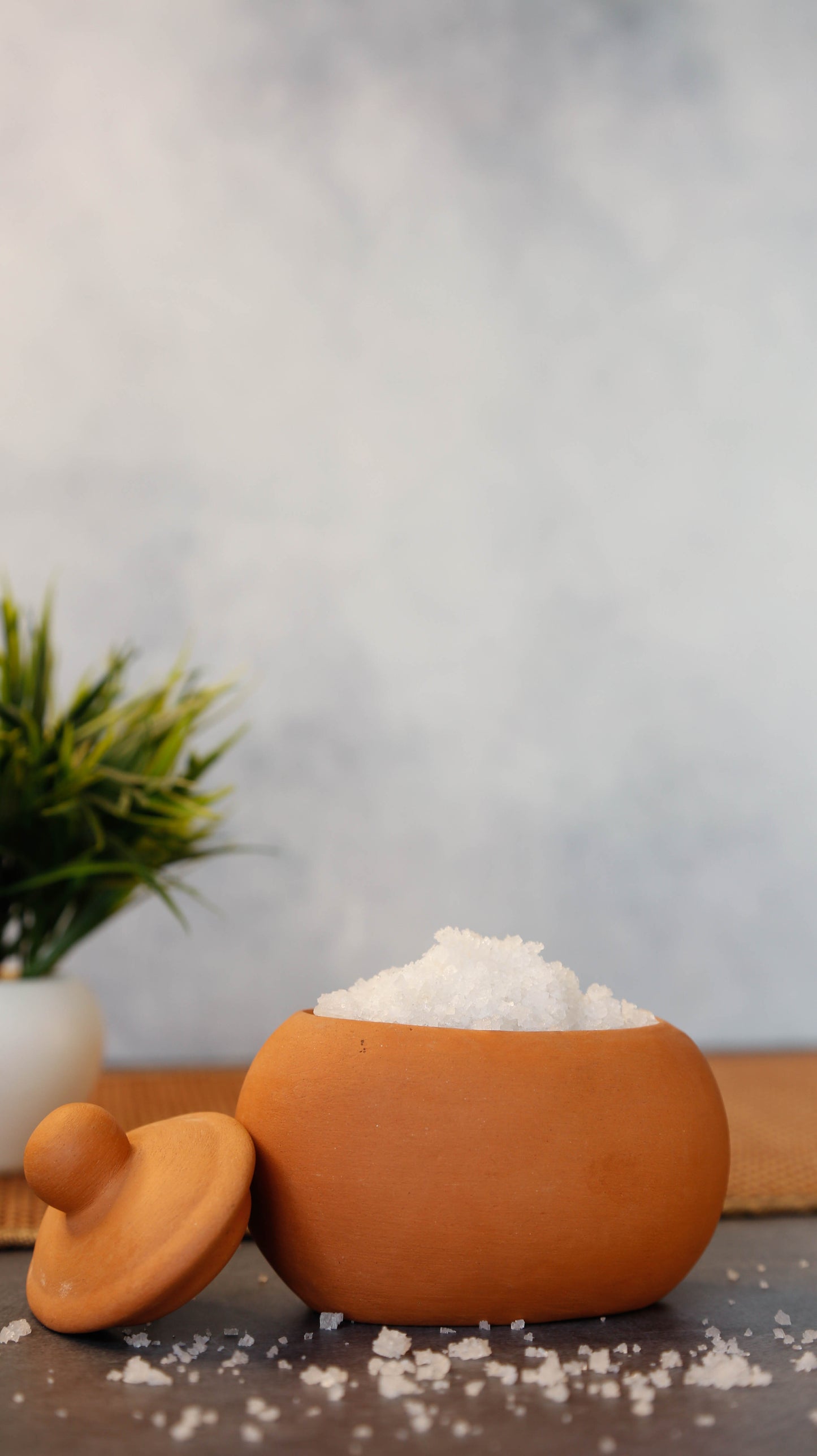 Curd or Salt pot