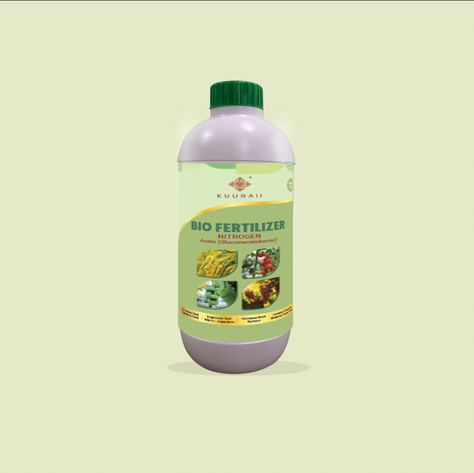 Green Aceto (Gluconacetobacter)