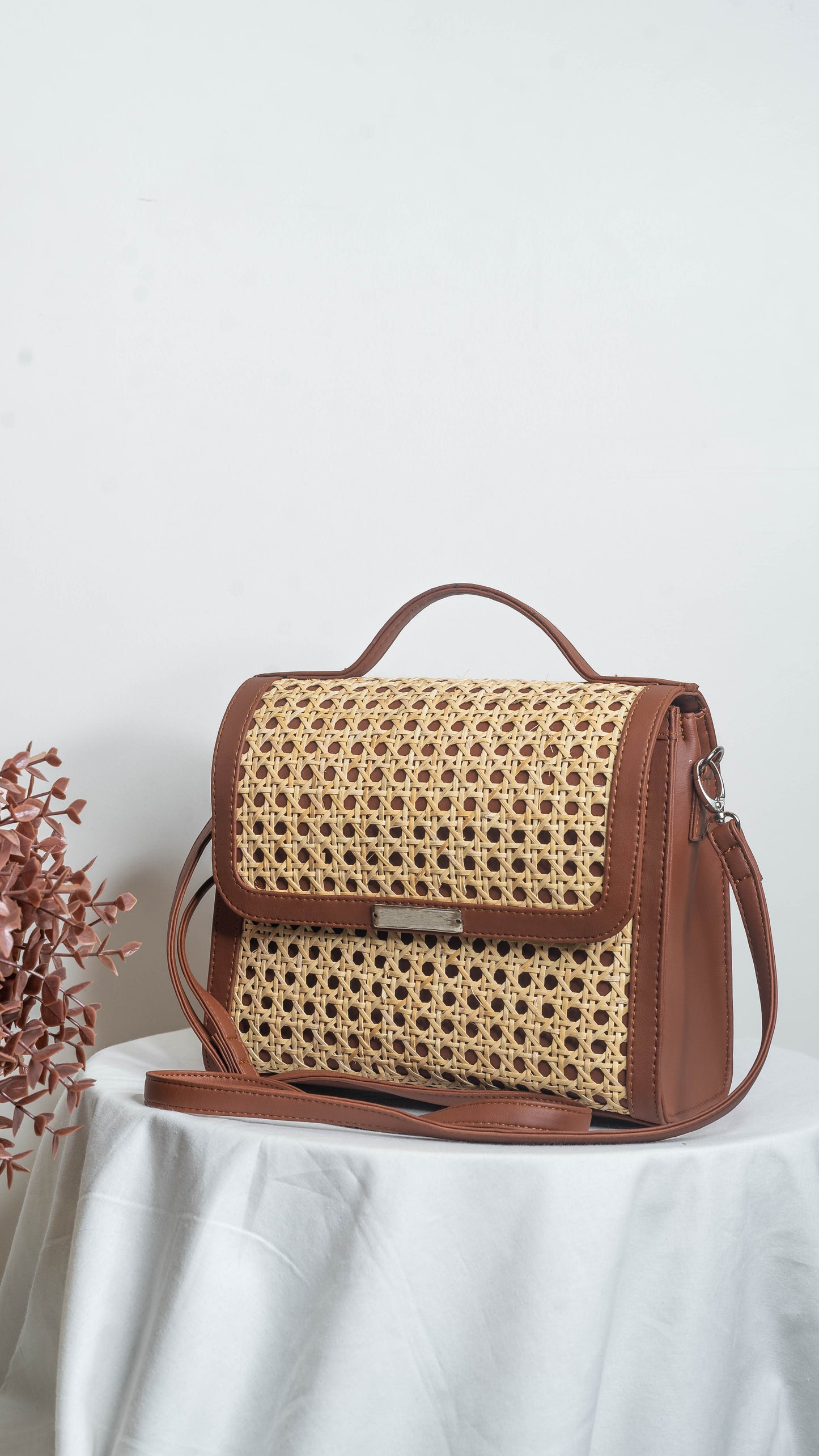 Can Carry Case