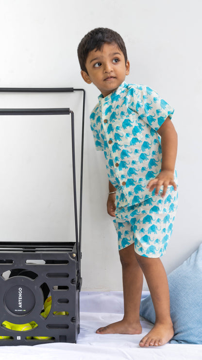 Sky Blue Elephant Print Cotton shirt and shorts set