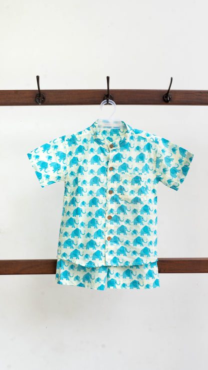 Sky Blue Elephant Print Cotton shirt and shorts set