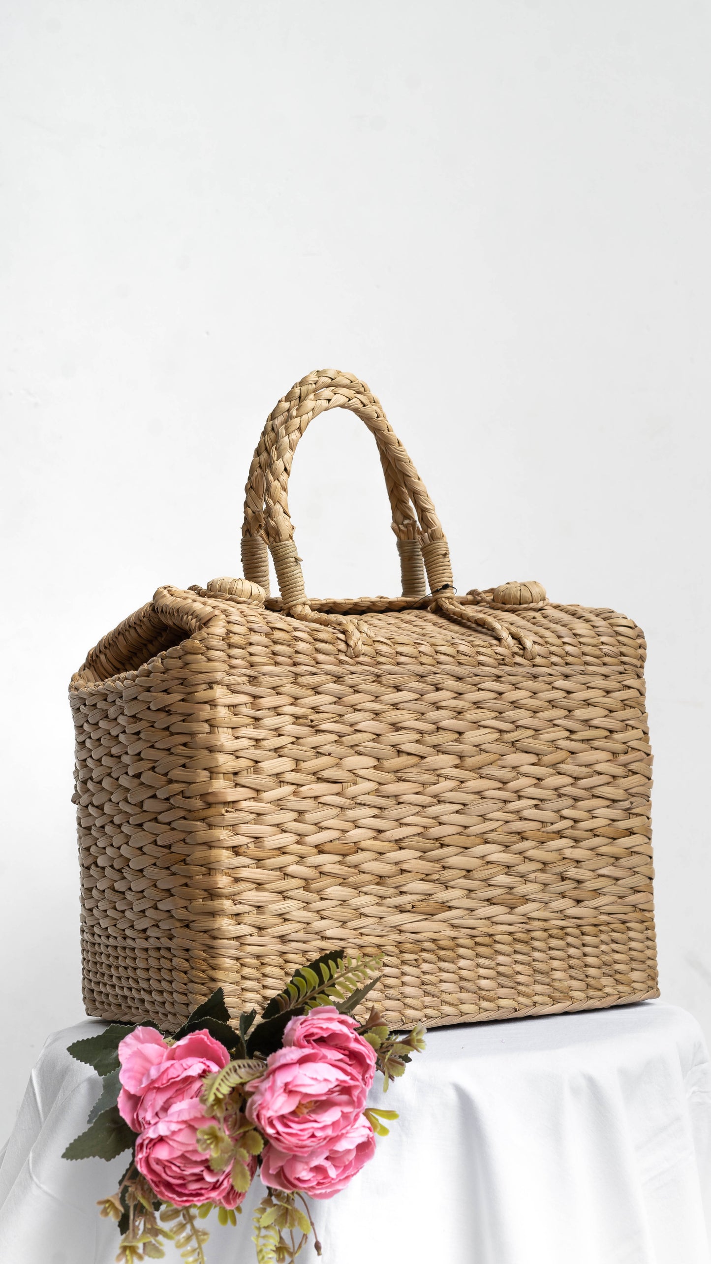 Picnic Bag -1