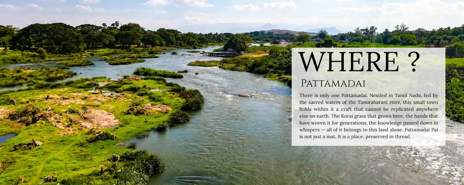 River landscape with text overlay asking 'WHERE? PATTAMADAI'.