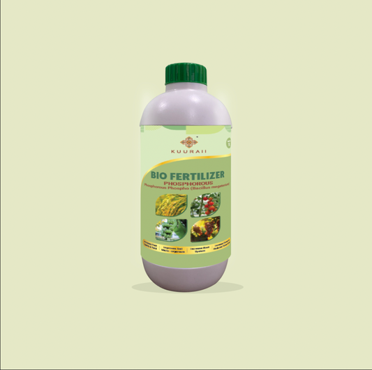 Phosphorous Green Phospho (Bacillus megaterium)