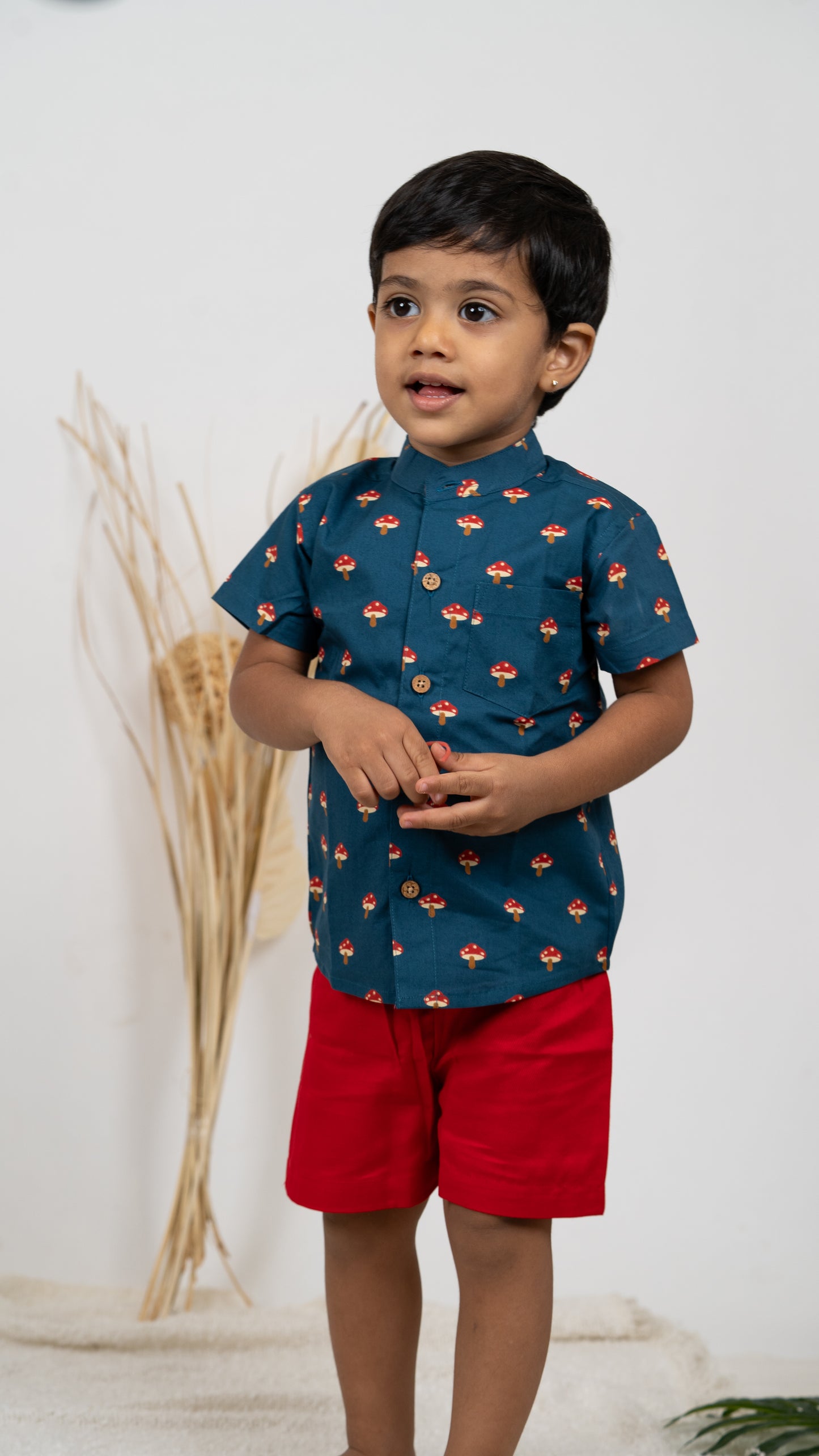 Boys Clothing: Mushroom Print Navy Cotton Shirt & Red Shorts Set